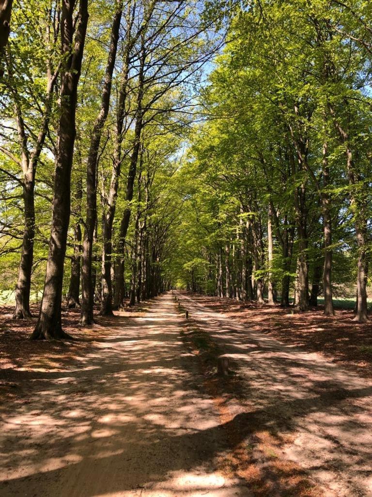 Hotel Van Der Maas Отмарсум Екстериор снимка